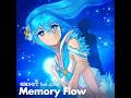 [SDVX] 20250213 Memory Flow MXM 18