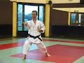 Wado Ryu Karate Kata Pinan Godan Wado Ryu Karate Kata Pinan Godan