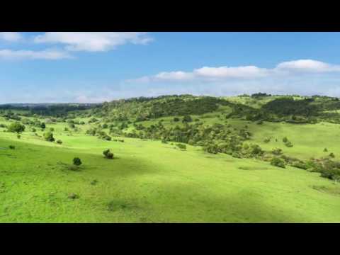 Lot 51, South West Road, Beechmont, Qld 4211