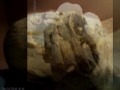 Mummies of Guanajuato/ Las momias de Guanajuato