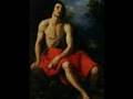 Radu Marian, Troppo, Troppo Rigore, Andante