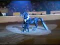 Morgan Horse Denlores Desert Storm