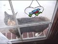 Dori Twirling Video