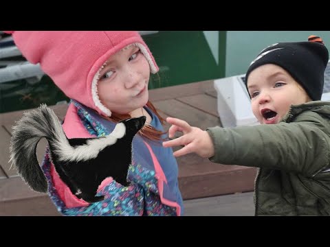 SKUNK in our Neighborhood!! the SEARCH for a lost skunk! making mini pizzas & hot lava night routine