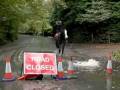 videos de 7 yrs 15 hh Black Welsh X Stockport