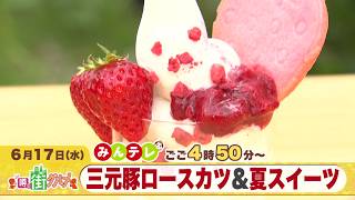 みんテレ