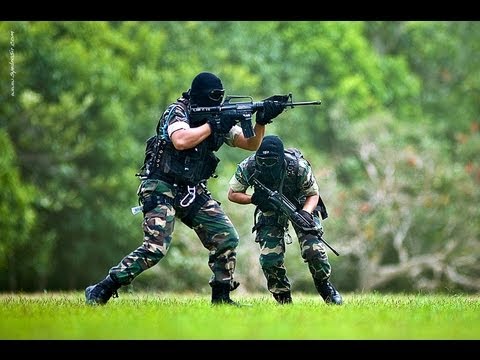 Malaysian - Tribute to The Malaysian Armed Forces, Royal Malaysian Air Force and Royal Malaysian Navy. Copyrighted to MalDef-Malaysian Defense. The song titled: