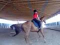 Lynzy Vidal riding D.C
