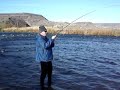 Dave C. catching a steelhead on the Deschutes River.