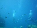 Diving Kuda Thila Reef