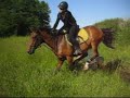 krossipäääv(: krossipäääv(: