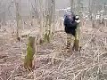 drunk guy and tree