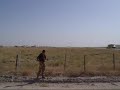 awesome-low-altitude-flying.html