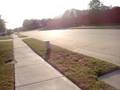 SCREAM WALKING HIS DOG