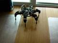 Hexateuthis, with sensors