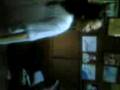 forcestar 2007-2008(c taguba)