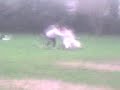 Mini moto stunts