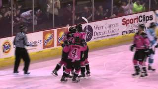 Cyclones vs Icemen - March 1, 2014