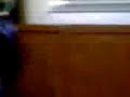 spray foam 2 pound closed cell