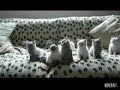 Ржачные котики! )))))))))