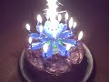 Most Amazing Birthday Candle Ever