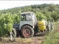 DUTRA UE-28 SZŐLŐ PERMETEZÉS 2009