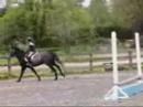Melissa's Training May 2008 Part 2