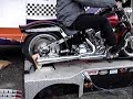 My FXSTC Softail Custom Harley Davidson on a Dyno My FXSTC Softail Custom Harley Davidson on a Dyno