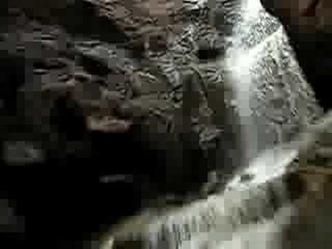 BLACK MAMBA The Biting Ride POV by ...