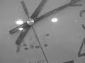 Abstract Video