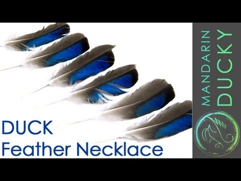 how to dye duck feathers
