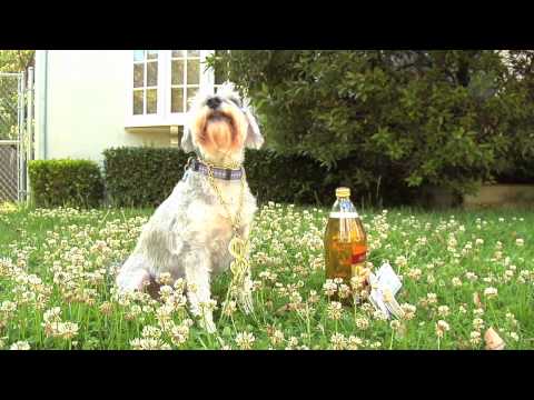 Snoop Dogg 'Doggystyle' 