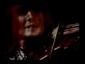 white bird-its a beautiful day