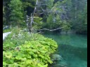 Plitvice Lakes 5.9.2008(Croatia)