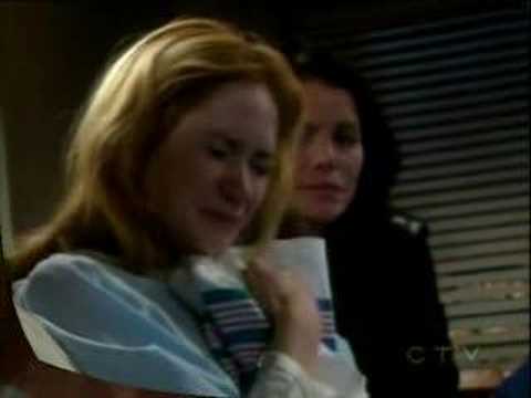 The Bold & The Beautiful