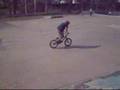shaun mansfield shreding