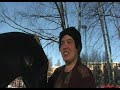 Älyvapaat - Mannet hevosvarkaissa Älyvapaat - Mannet hevosvarkaissa