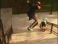 Birdhouse The Beginning new trailer