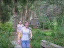 Crazy Dreams Video