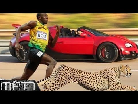 7 FASTEST PEOPLE IN THE WORLD WHO SET THE WORLD RECORD