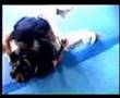 videos de Robert Parmakovski's students sparring