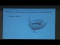 Dr Daniel Dennett - The Evolution of Religion. Pt1 Dr Daniel Dennett - The Evolution of Religion. Pt1