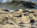 videos de bodyboard la laja