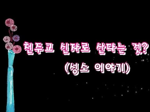 천주교신자로살기3
