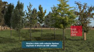 Apricus Skenta – Beneficios