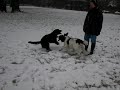 CIMG0949.MOV