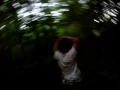 videoo safarii