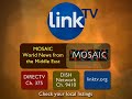 skyrocketing oil prices in the second quarter of this year led exxonmobil to report the highest ever record profit by an american company. who else is profiting? and why are laborers not getting paid in the arabian gulf?

answers to these questions and more on link tv's mosaic intelligence report presented by jamal dajani.

for more info, visit at http://www.linktv.org/mosaic