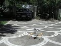 Walkera DF60 7th outdoor test flight