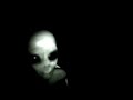grey extra terrestrial being held captive